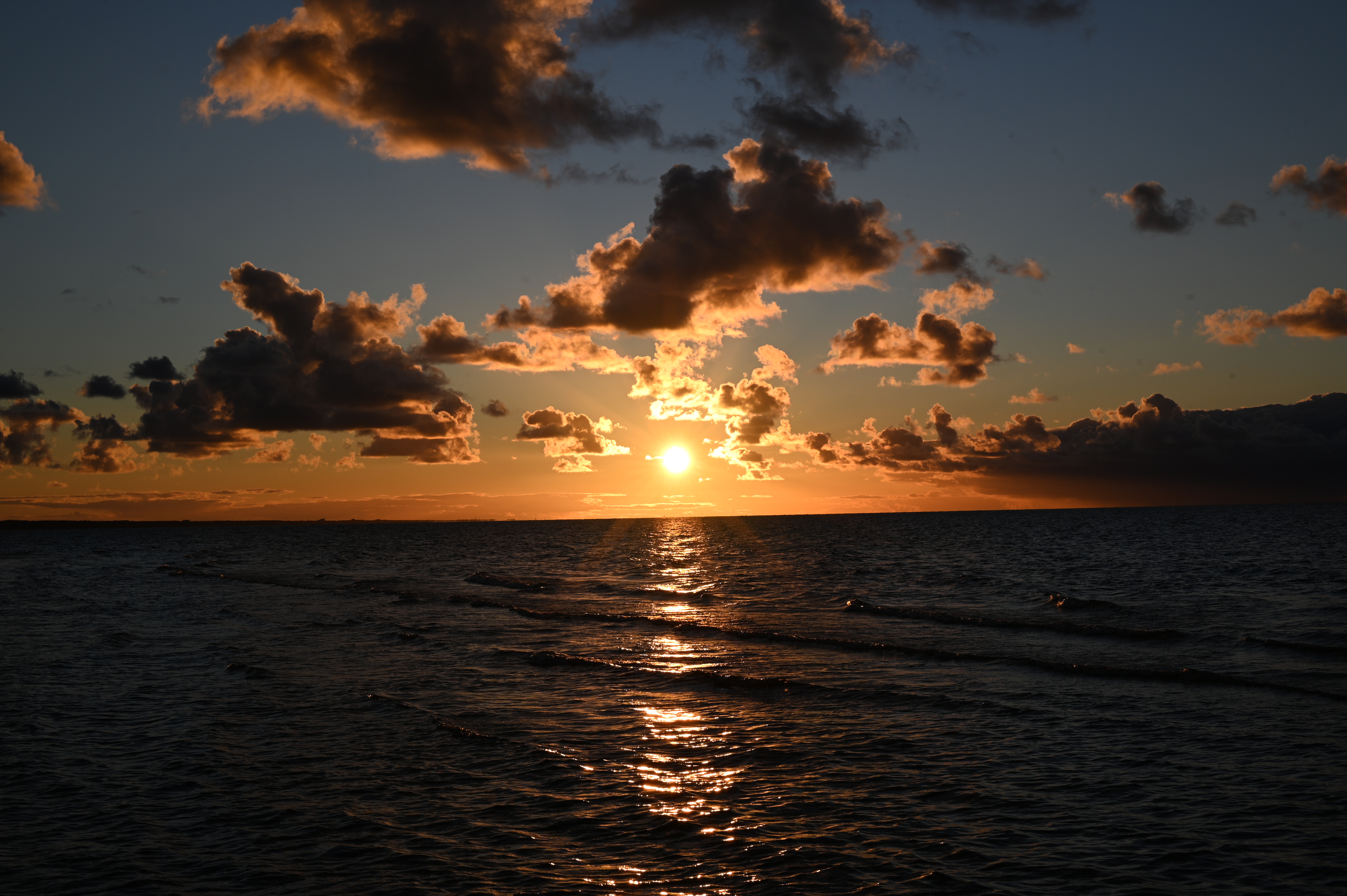 2025/10/18 - walk/DSC_0366.JPG